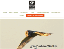 Tablet Screenshot of durhamwt.com